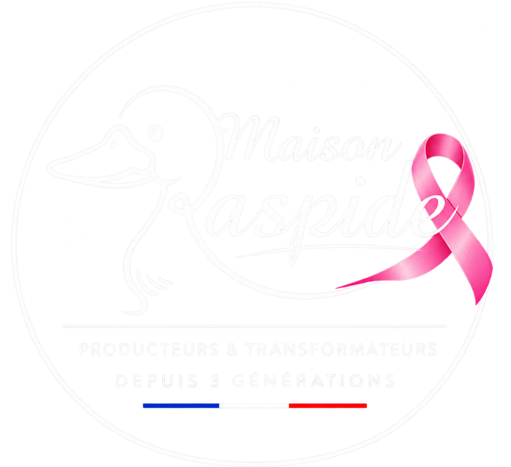 Logo octobre rose